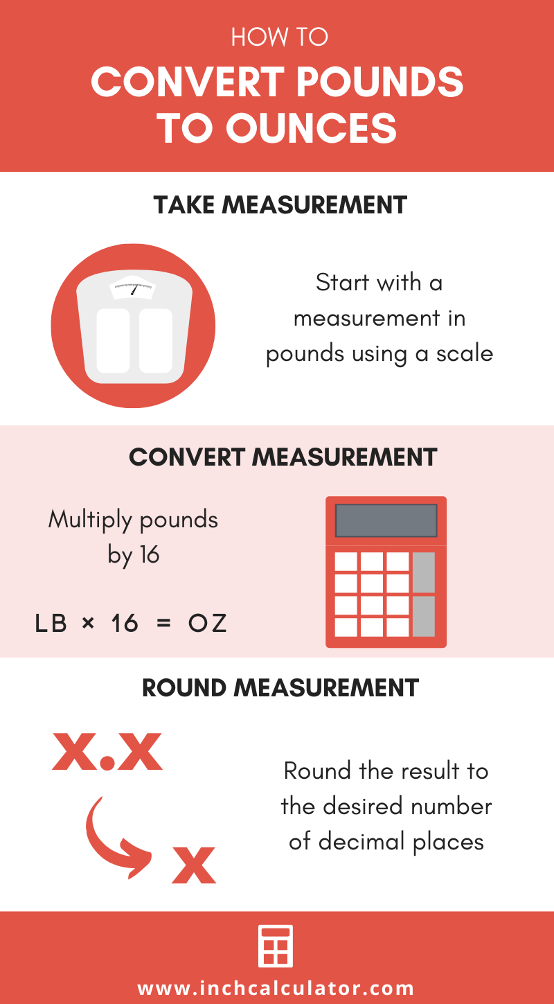 Pounds To Ounces Conversion Infographic 