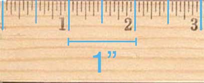 two inch ruler