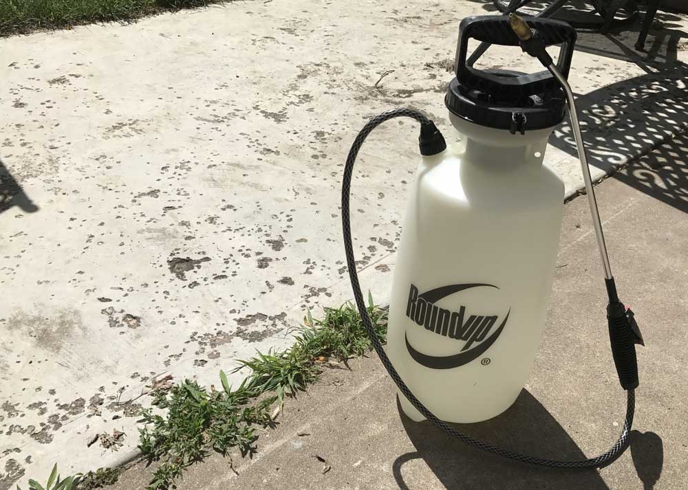 You can remove weeds from a patio using chemical sprays