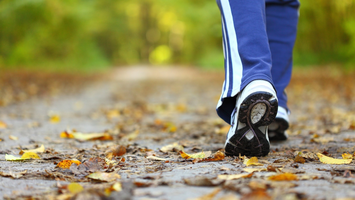 how-many-steps-in-a-flight-of-stairs-answered-mellowpine