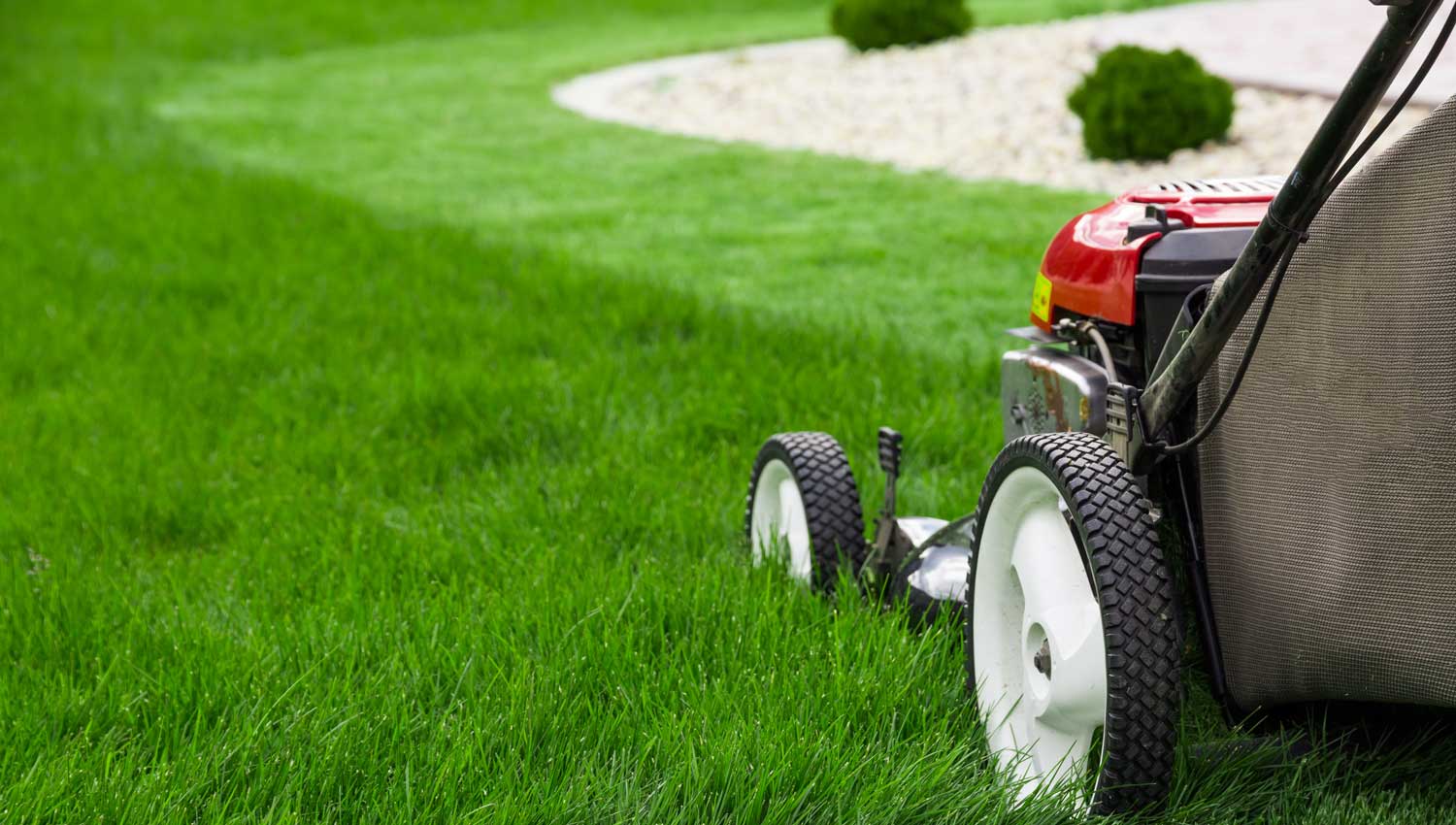 lawn mowing and maintenance