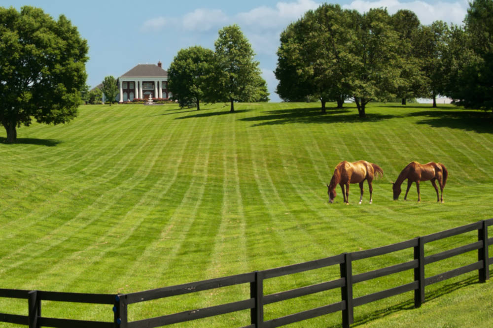 how-much-is-an-acre-of-land-worth-in-colorado-simdreamhomes