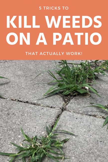 5 Tricks to Get Rid of Weeds on Your Patio that Actually Work - Inch ...