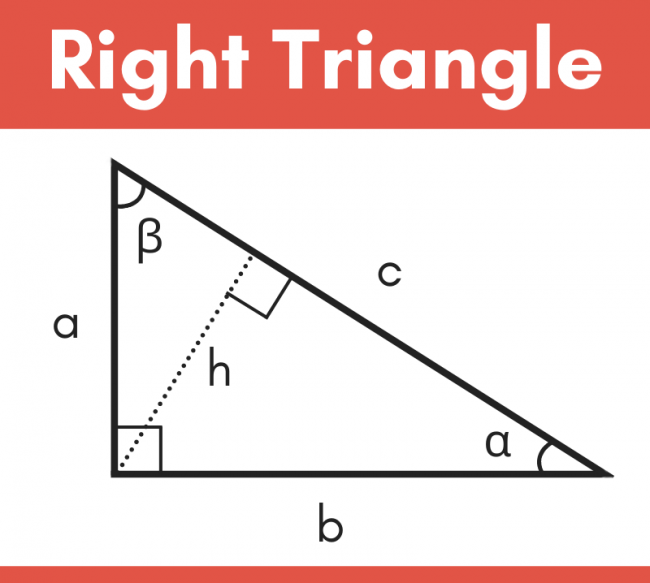 right isosceles triangle split in half calculator
