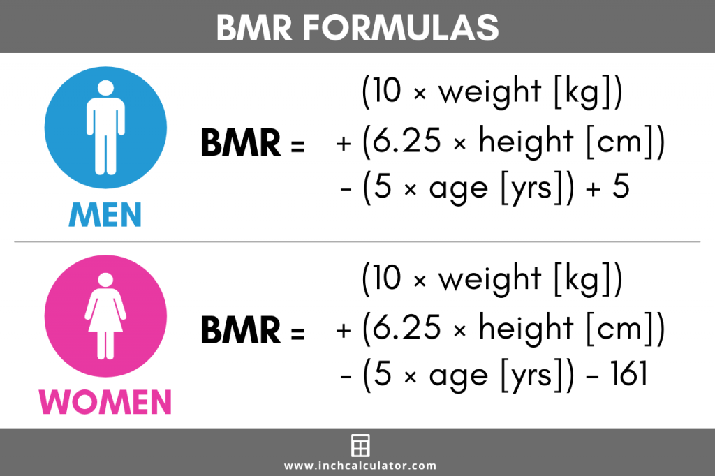 BMR Calculator Basal Metabolic Rate Inch Calculator