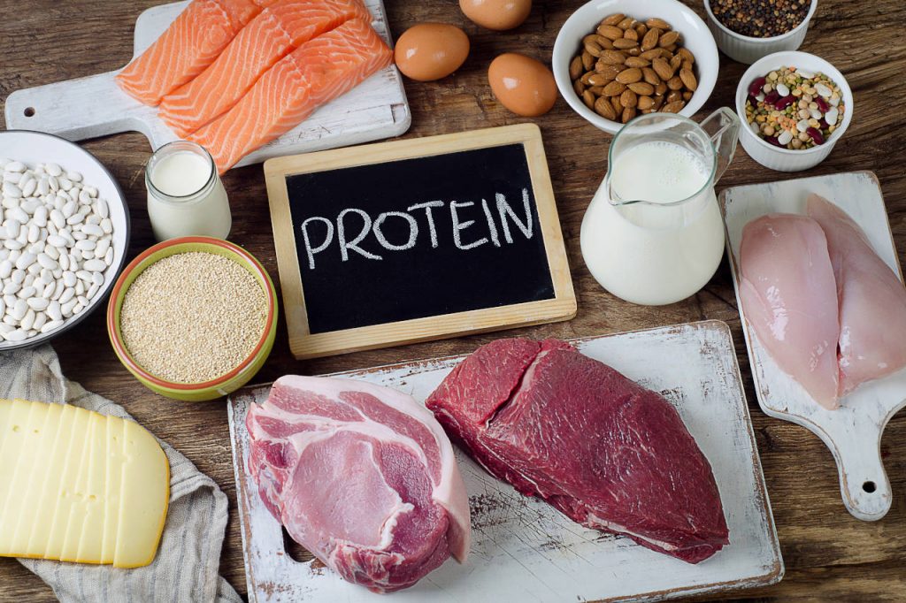 Protein Intake Calculator Inch Calculator