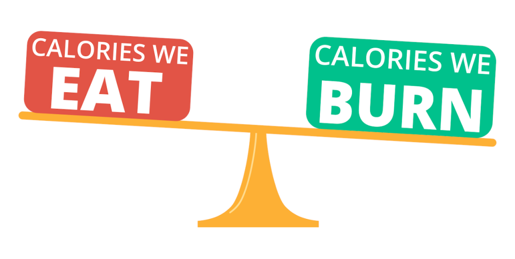 Calorie Intake Calculator - Inch Calculator