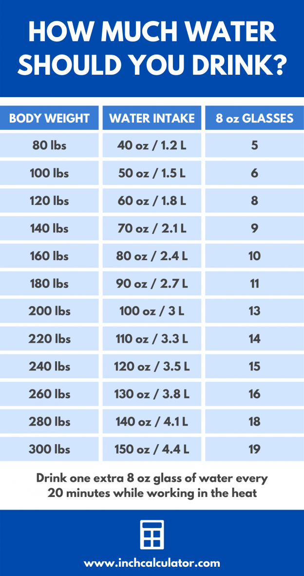 Daily Water Use Calculator 2328